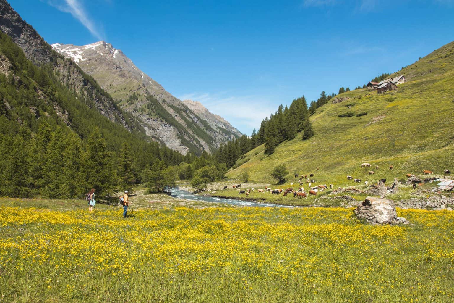 Scopri le montagne vicino Torino: 5 irresistibili motivi per visitare ...