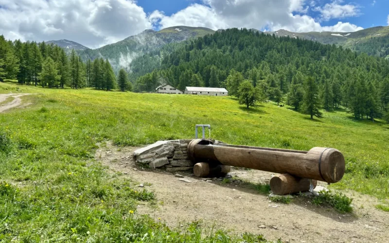 Alpe Arguel Pian del Frais escursione in Val di Susa (1)