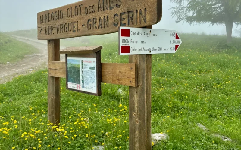 Alpe Arguel Pian del Frais escursione in Val di Susa (6)