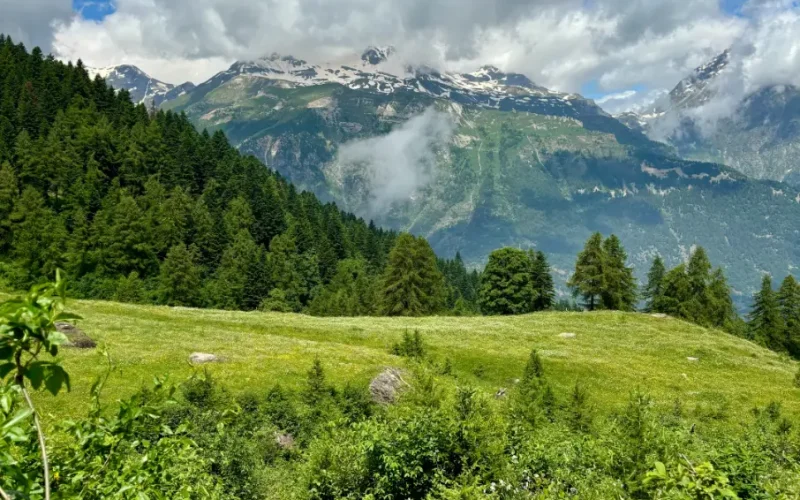 Alpe Arguel Pian del Frais escursione in Val di Susa (7)