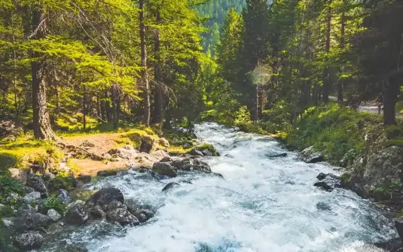 Lago Verde Valle Stretta - Bardonecchia (6)