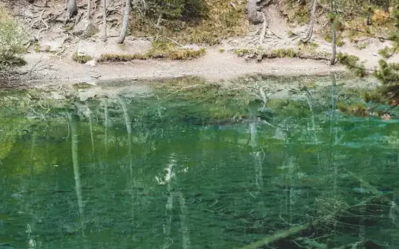 Lago Verde Valle Stretta - Bardonecchia (7)