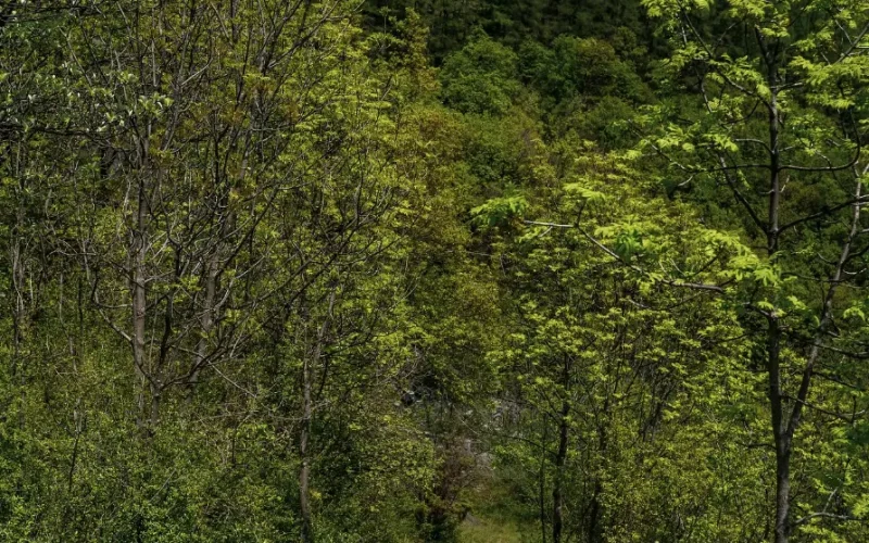 Strada Reale Novalesa - Ferrera Moncenisio - Visit Val di Susa