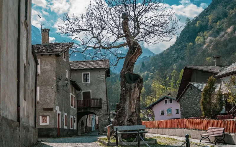 Strada Reale Novalesa - Ferrera Moncenisio - Visit Val di Susa