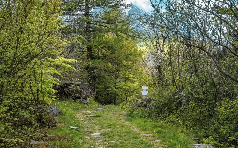 Strada Reale Novalesa - Ferrera Moncenisio - Visit Val di Susa