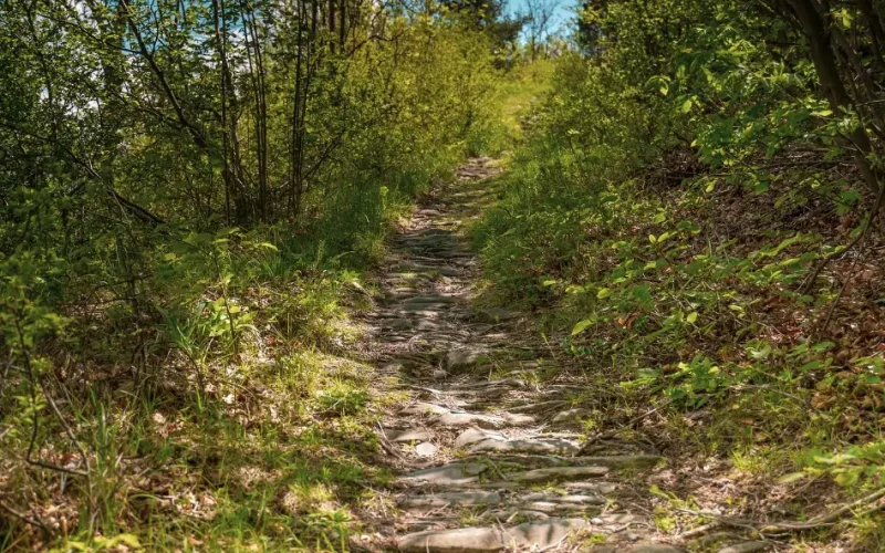 Strada Reale Novalesa - Ferrera Moncenisio - Visit Val di Susa