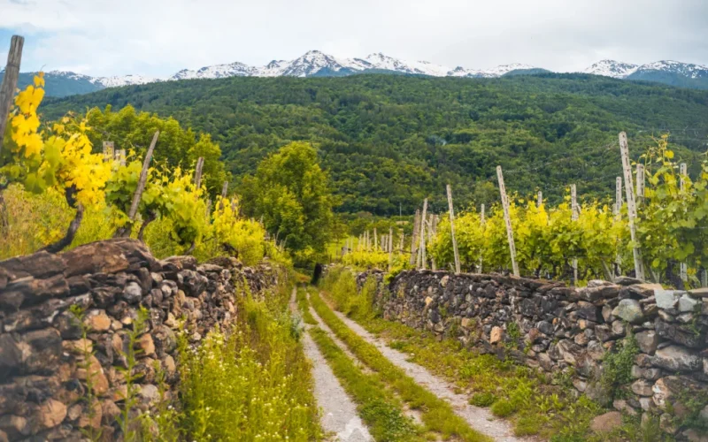 Via Francigena Chiomonte Susa Val di Susa (2)