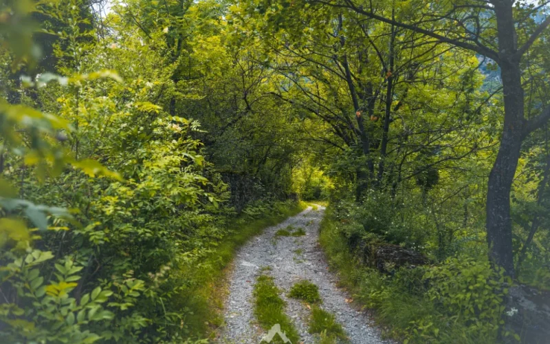Via Francigena Chiomonte Susa Val di Susa (2)