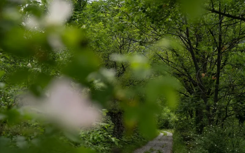 Via Francigena Chiomonte Susa Val di Susa (2)