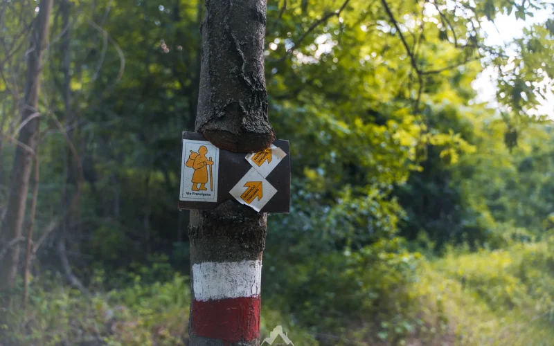 Via Francigena Chiomonte Susa Val di Susa (2)