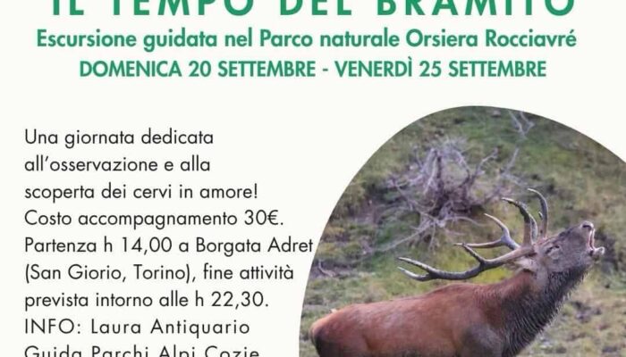 featured-il-tempo-del-bramito-escursione-guidata-parco-orsi-1