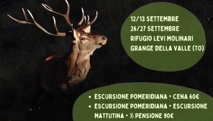featured-il-tempo-del-bramito-weekend-al-rifugio-levi-molin-1