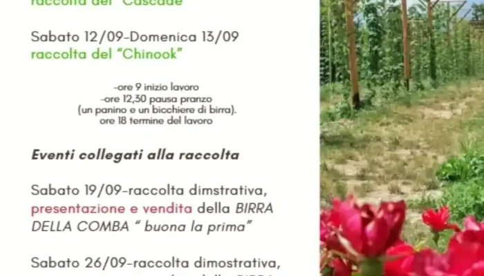 featured-raccolta-del-luppolo-2026-chinook